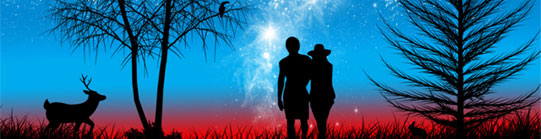 Created Vector Picture